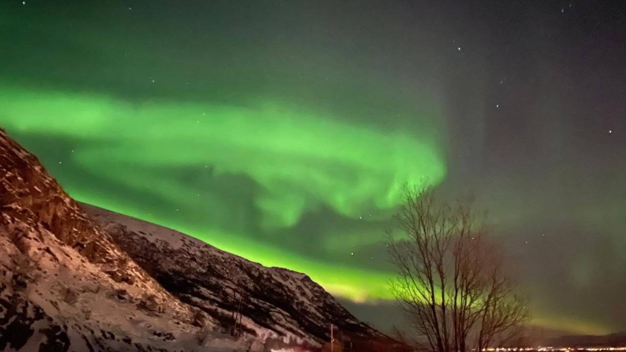Lofoten Havfiske レクネス エクステリア 写真